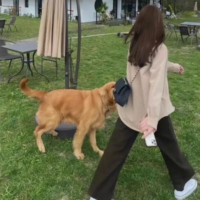 我们私人的生活